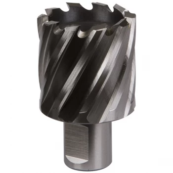 Image of Worksafe RBHSS38S Rotabor Cutter HSS Ø38mm - Cut Depth 25mm