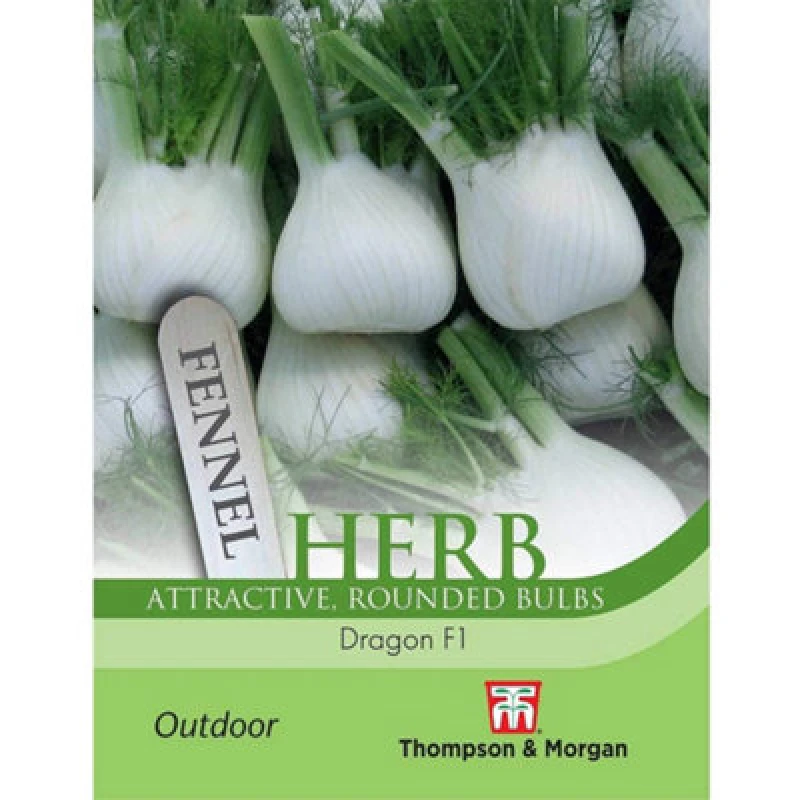 Image of Thompson & Morgan Herb Fennel Dragon F1 Hybrid 1 Seed Packet