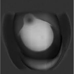 Image of Flies+Flies - Milk & Peppers Vinyl