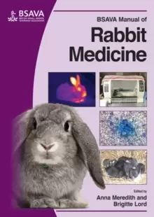 Image of BSAVA Manual of Rabbit Medicine