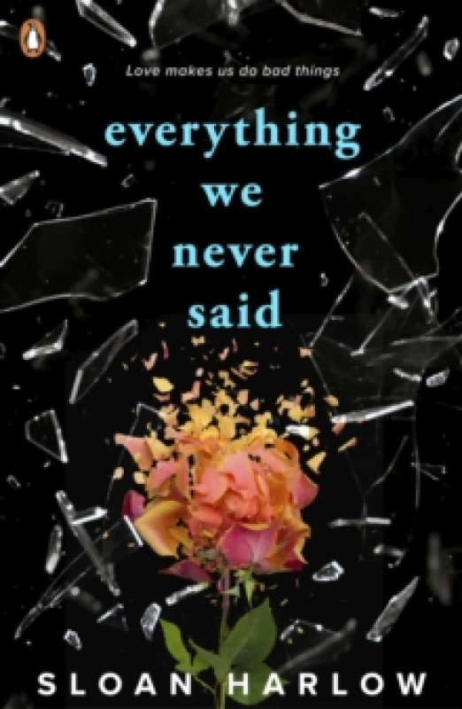 Image of Everything We Never Said Paperback / softback