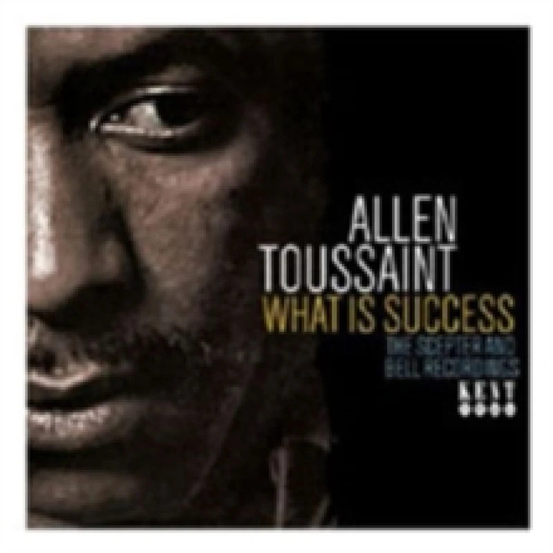 Image of What Is Success CD / Album