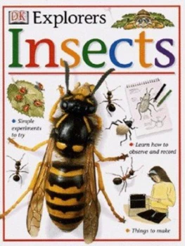 Image of Insects by Steve Parker Paperback