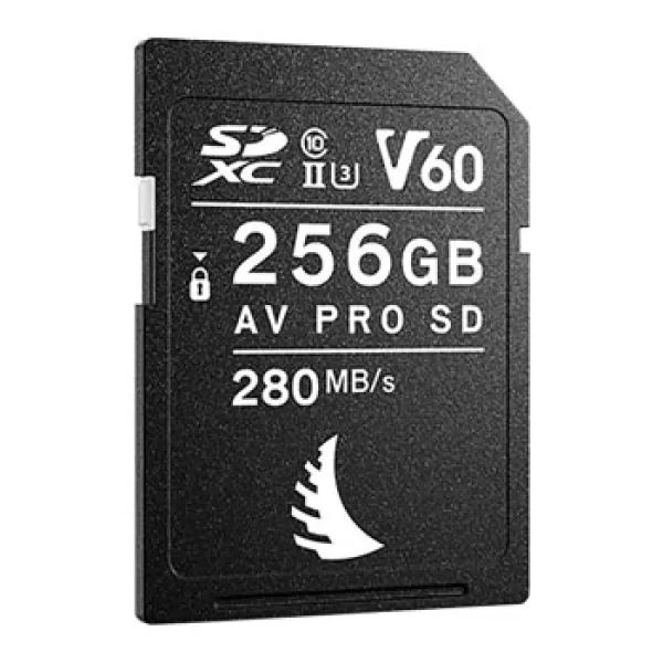 Image of Angelbird AV PRO SD 256GB