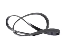 Image of RIDEX V-ribbed belt FORD,VOLVO 305B0258 1421340,1421341,1453619 Serpentine belt,Auxiliary belt,Poly V-belt,Ribbed belt,Multi V-belt,Poly belt,30731407