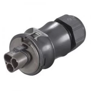 Image of Wieland 96.022.4053.1 Power Connector Gesis IP Series Number of pins 2