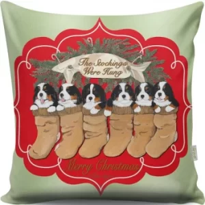 Image of A12999 Multicolor Cushion