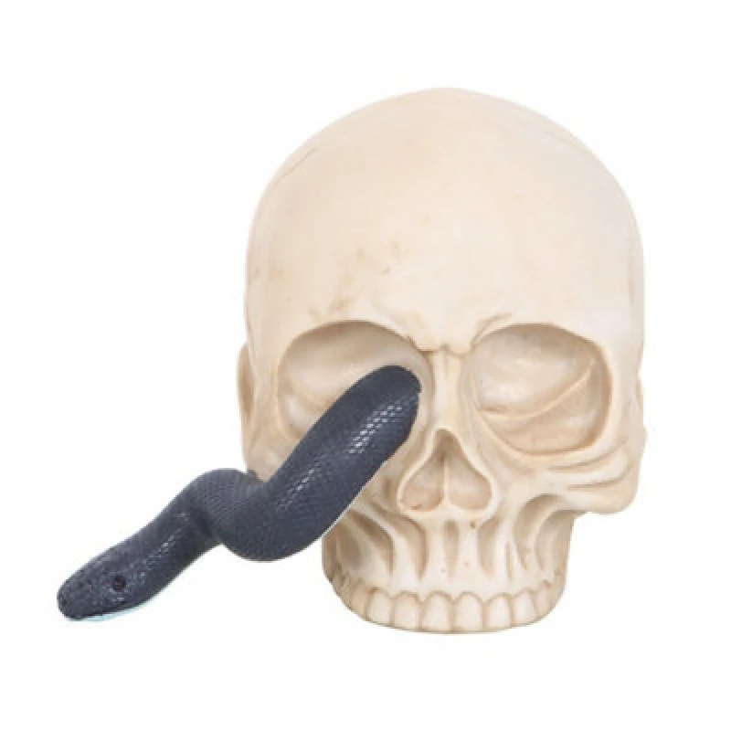 Image of Something Different Something Different Skull & Snake Ornament in White White One Size Unisex 5063750918075