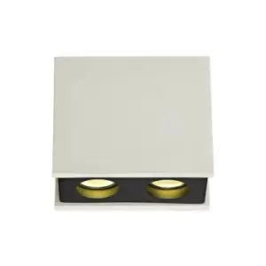 Image of 2 Light Ceiling GU10, White Paintable Gypsum With Matt Black Cover - Luminosa Lighting