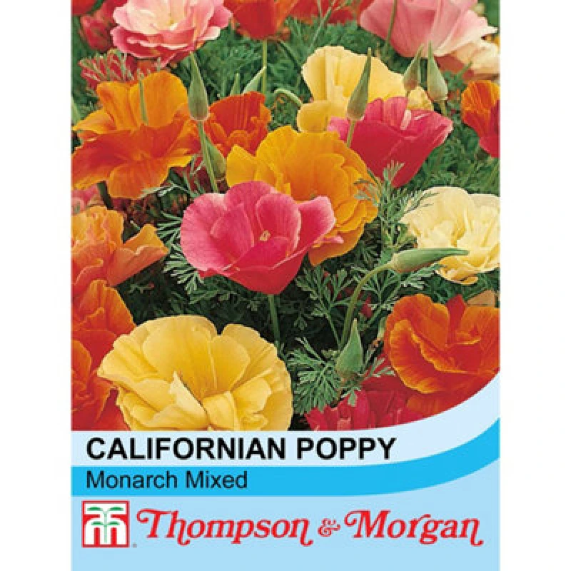 Image of Thompson & Morgan Californian Poppy Mixed 1 Seed Packet (600 Seeds)