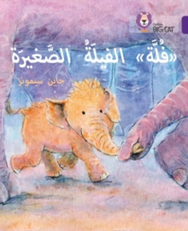 Image of Jane Simmons Fulla, the Small Elephant Book Multi unisex