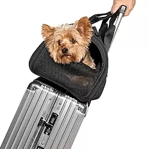 Image of Wild One Travel Pet Carrier