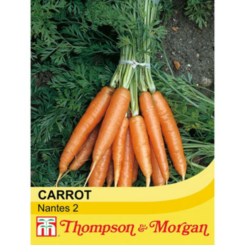 Image of Thompson & Morgan Carrot Nantes 2 1 Seed Packet (1500 Seeds)