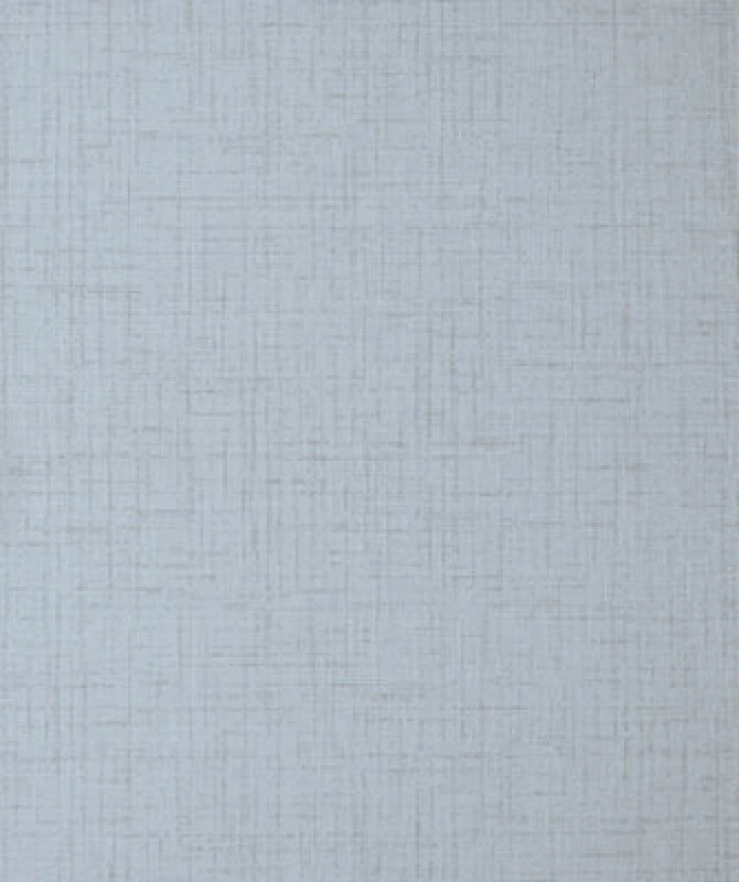 Image of Fine Decor Larson Texture Wallpaper - Blue Blue WNXYS Unisex