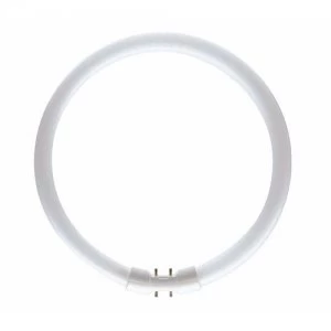 Image of Bell 55W CFL T5 2GX13 Circular Bulb - Warm White