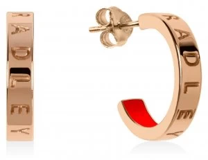 Image of Radley Rocks Rose Gold Plated Small Hoop Jewellery