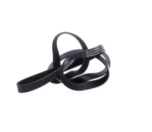 Image of RIDEX V-ribbed belt MERCEDES-BENZ,JEEP 305P0229 9091602380,53011098,9091602380 0139975092,0149971592,0149977792,0159970392,A0139975092,A0149971592