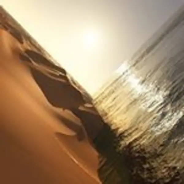 Image of Mark Pritchard - Under the Sun (Music CD) MUSIC CD - CD - Other