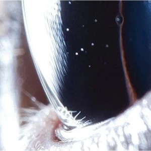 Image of Roly Porter - Third Law Vinyl