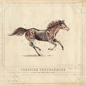Image of Turnpike Troubadours - A Long Way From Your Heart Limited Edition Clear Vinyl
