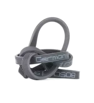 Image of Bosch V-ribbed belt BMW 1 987 946 215 11287800341,11288506993,11288512068