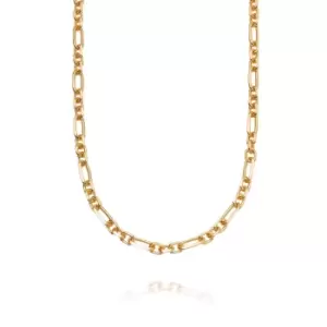 Image of Daisy London 18ct Gold Plate Magnus Chain Necklace 18ct Gold Plate