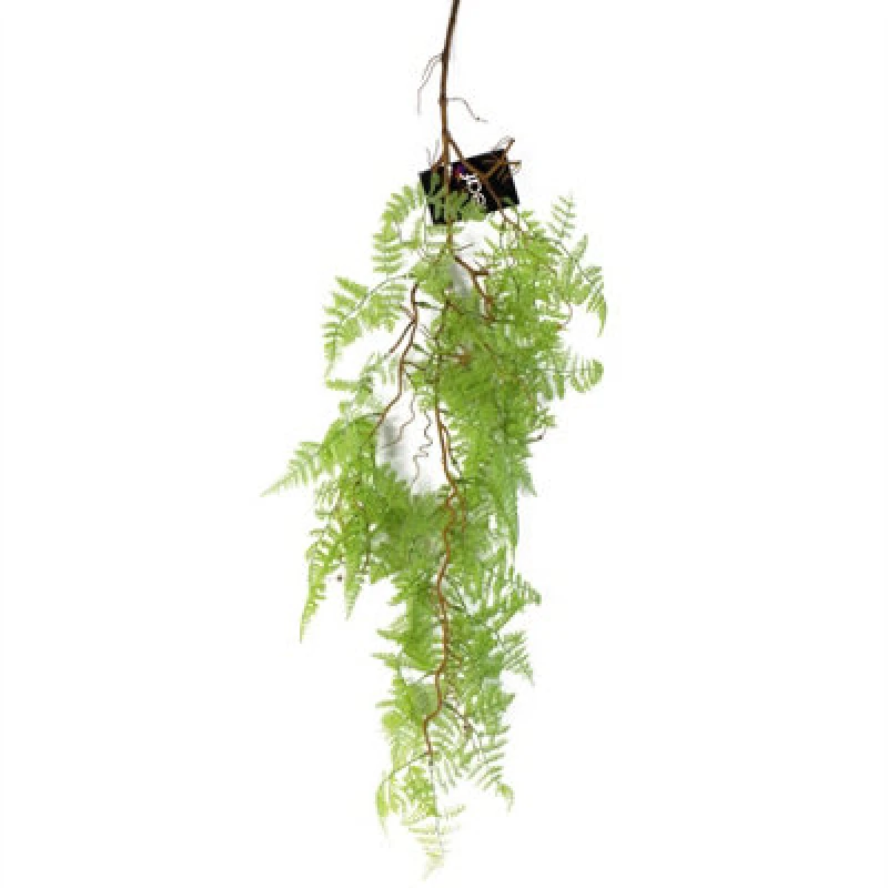Image of Leaf 100cm Artificial Hanging Maidenhair Fern Plant Light Green Green unisex