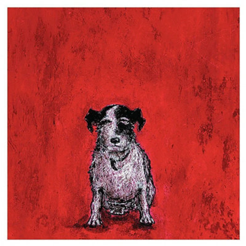 Image of The Art Group Small Dog Red Canvas Art (H)40Cm X (W)40Cm