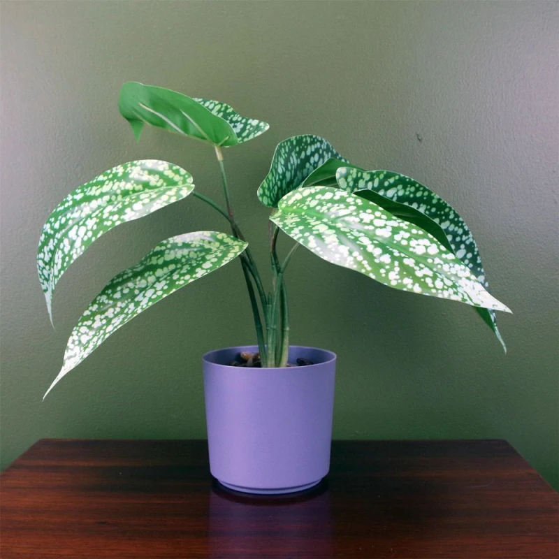 Image of Leaf Artificial Spotted Plant in Planter Botanik Green