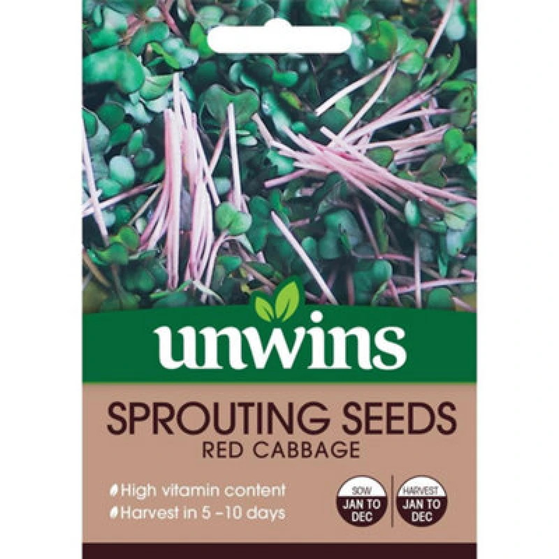 Image of Unwins Sprouting Seeds Red Cabbage