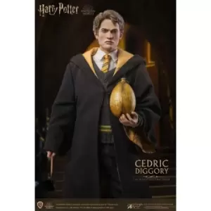 Image of Harry Potter My Favourite Movie Action Figure 1/6 Cedric Diggory Deluxe Version 30 cm