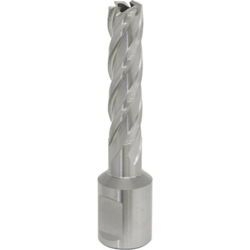 Image of Loops 12mm x 50mm Depth Rotabor Cutter - M2 Steel Annular Metal Core Drill 19mm Shank Metallics