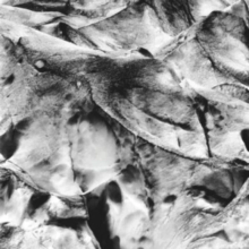 Image of Neues Boot CD / Album