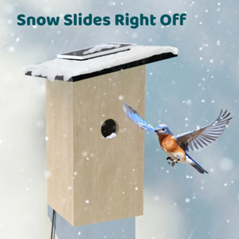 Image of BIRDFY House Ebony Lite Smart Camera Bird Feeder with Solar Panel - Fir, Brown 792671634942