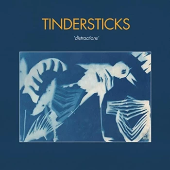 Image of TINDERSTICKS - Distractions CD