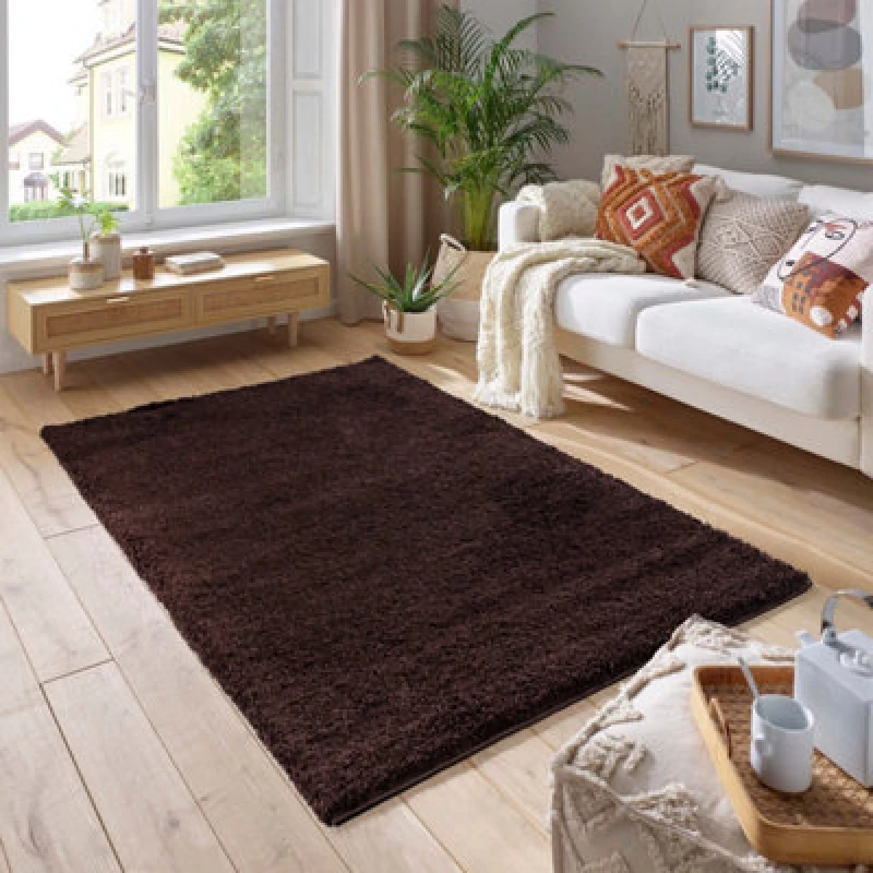 Image of Smart Living Smart Living Soft Fluffy 5cm Thick Pile Shaggy Area Rugs for Living Room, Bedroom in Brown Size: 60cm x 110cm Brown 60cm x 110cm Unisex