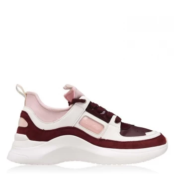Image of Calvin Klein Trainers - Bordeaux/Pink