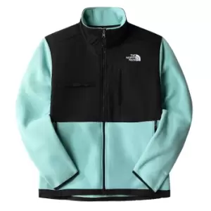 Image of The North Face Denali Jacket, Wasabi, Male, Jackets & Outerwear, NF0A7UR26R71