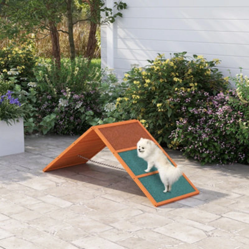 Image of Pawhut Dog Agility Equipment, Agility Ramp For All Breeds For Garden