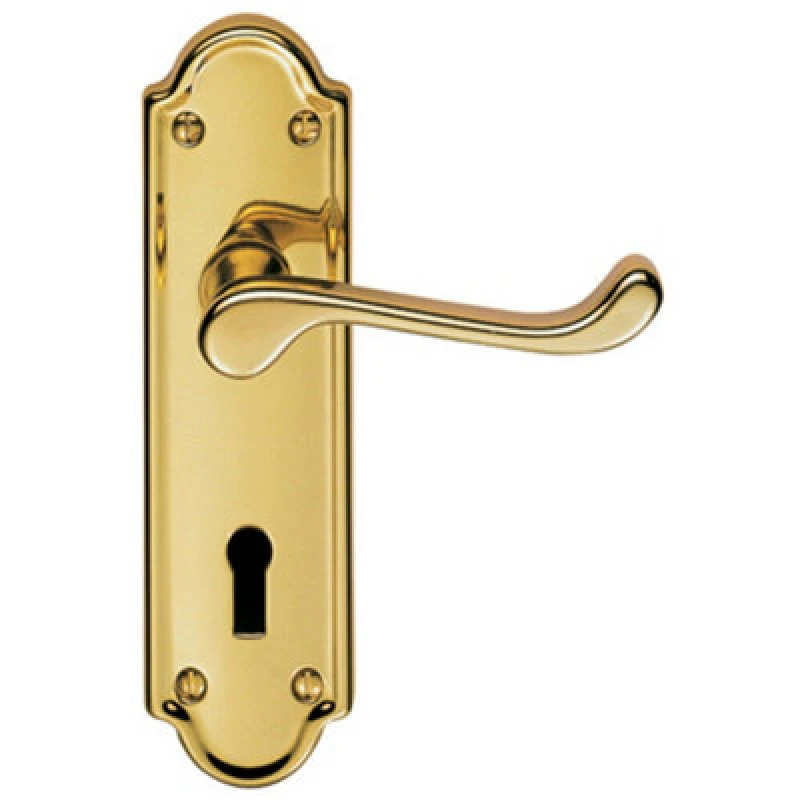 Image of Loops PAIR Victorian Upturned Handle on Lock Backplate 168 x 47mm Polished Brass Metallics