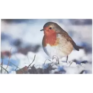 Image of Homescapes - Recycled Rubber Printed Winter Robin Doormat - Multicolour