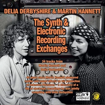 Image of Delia Derbyshire - The Synth & Electronic Recording Exchanges CD