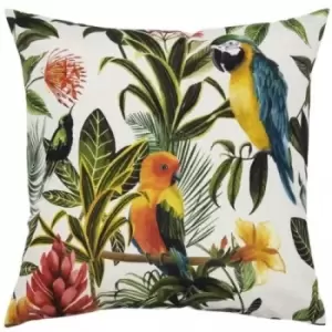 Image of Evans Lichfield Parrot Outdoor Cushion Cover (One Size) (Teal/Multicoloured)