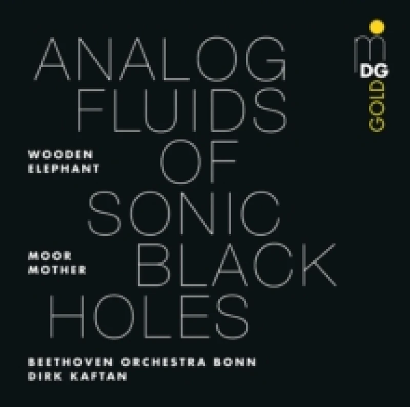 Image of Analog Fluids of Sonic Black Holes Vinyl