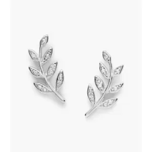 Image of Fossil Womens Elliott Olive Branch Sterling Studs - Silver