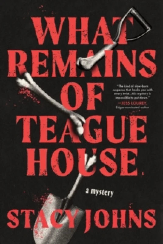 Image of What Remains of Teague House : A Mystery Paperback / softback