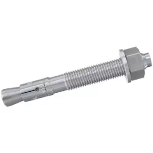 Image of Fischer FXA Throughbolt 12 x 146mm (20 Pack)