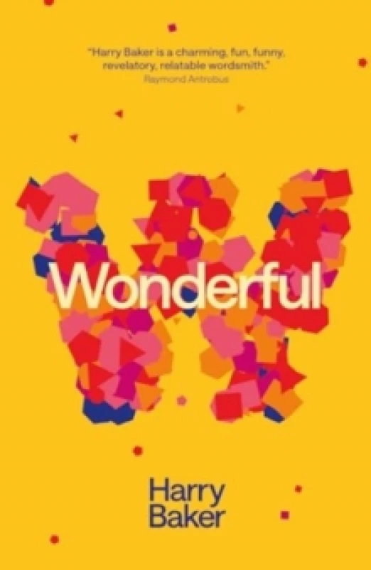 Image of Wonderful Paperback / softback