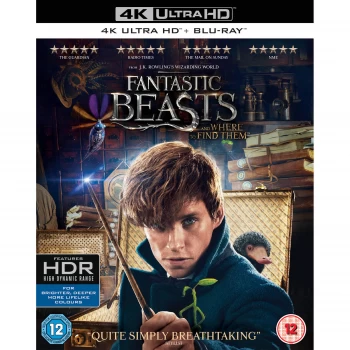 Image of Fantastic Beasts and Where To Find Them - 4K Ultra HD