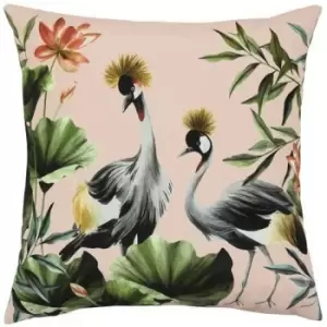 Image of Evans Lichfield Crane Outdoor Cushion Cover (One Size) (Blush/Forest) - Blush/Forest